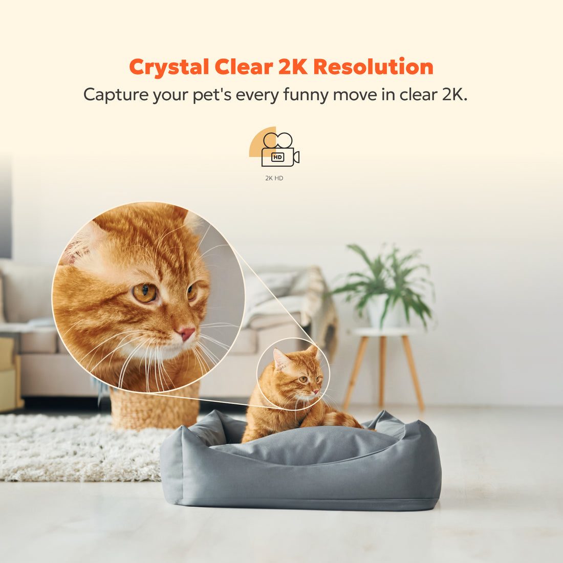 2K Indoor Camera - W1 (Wired)