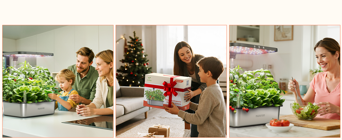 slider image slider_item_4LHX3h