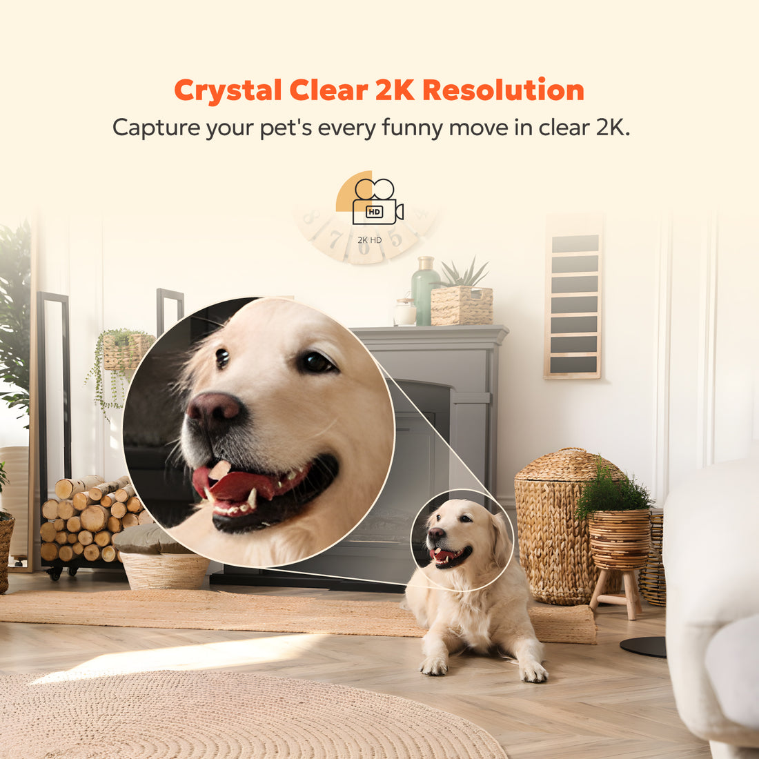 4MP Indoor Camera - T1 (Wired)