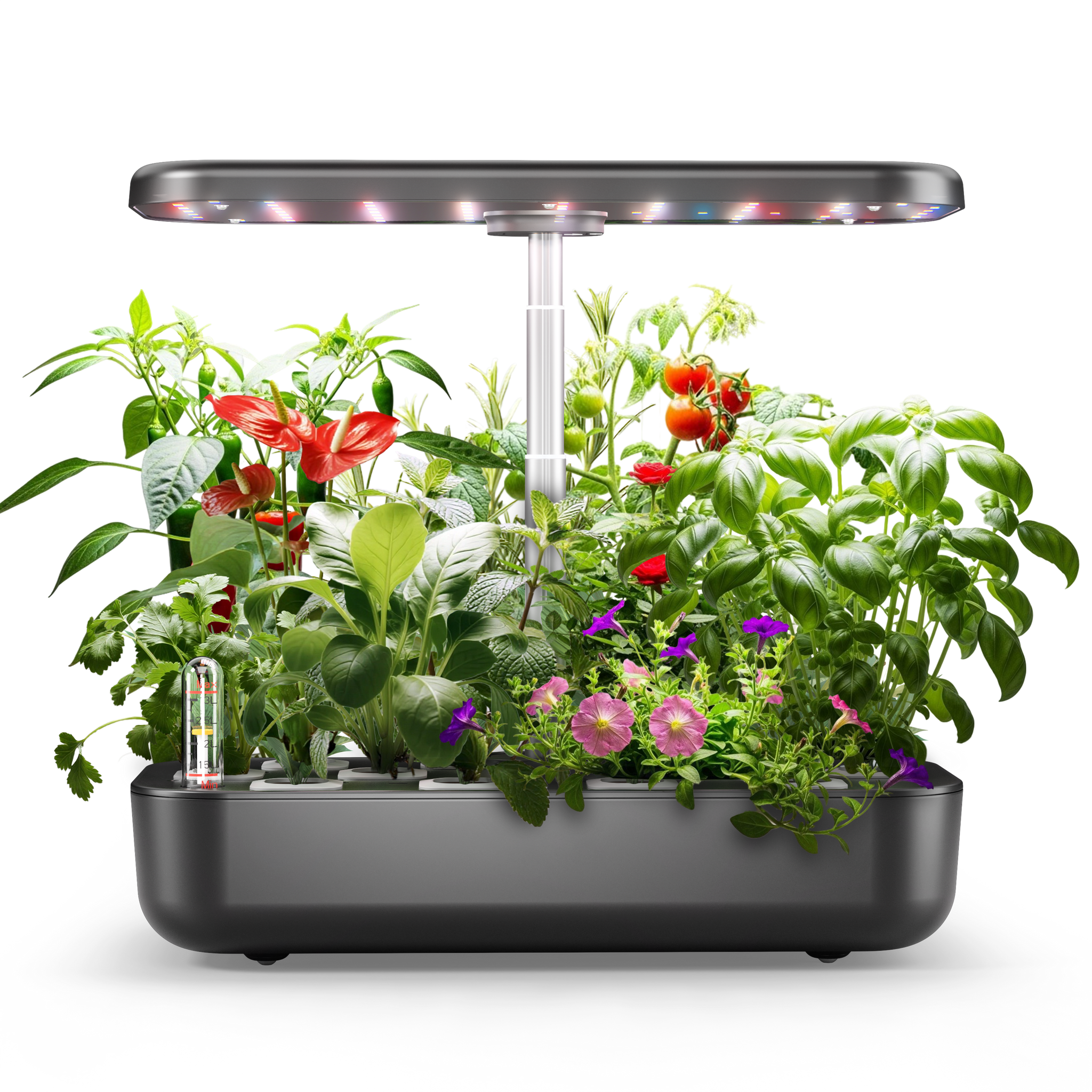 12-Pod Hydroponics Growing System