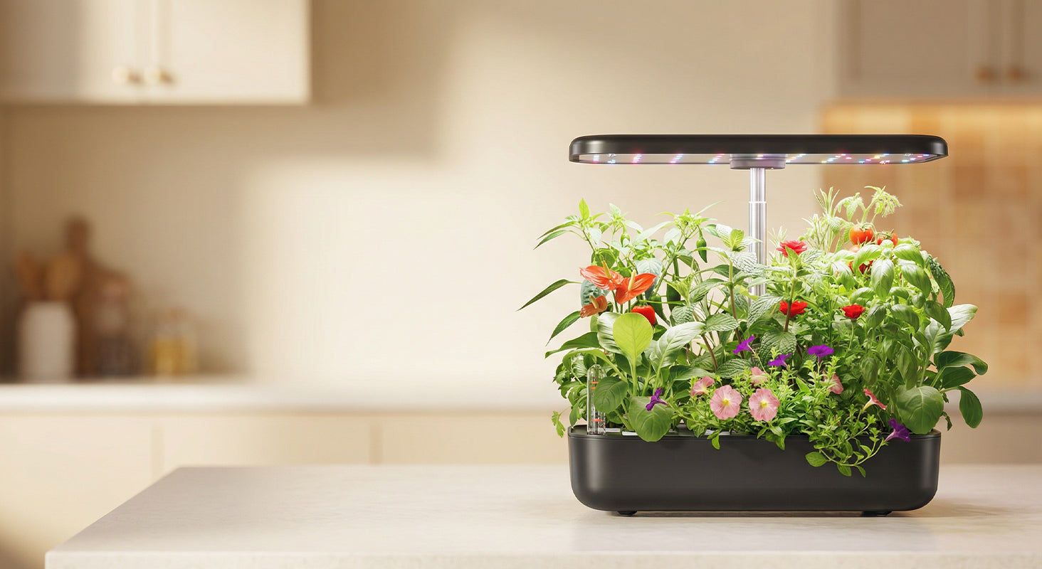 slider image slider_item_tNcimj