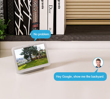 Owltron camera integrates with Google Assistant.