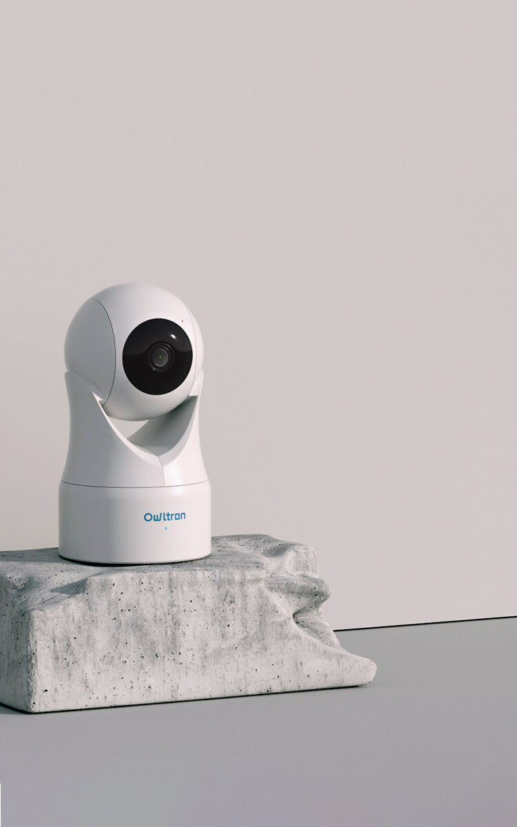 Owl motion detector sales camera